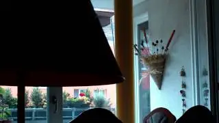 Mein bearbeitetes Video