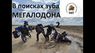 В поисках зуба МЕГАЛОДОНА 2