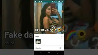 Minha conversa com uma Fake da Giovanna Chaves!🌈