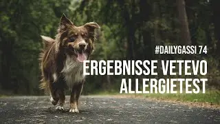 Ergebnisse Vetevo Allergietest [DailyGassi #74]