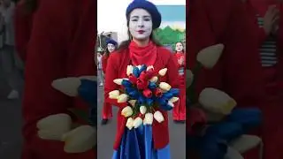 Міми