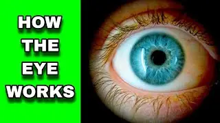 how eye works in telugu | helth tips in telugu