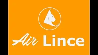 Air Lince 2021 Presentacion de la nueva Livery