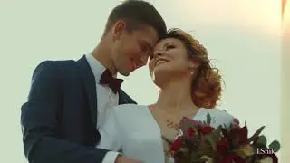 Андрей Бандера - 