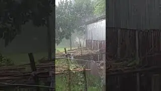 কোন কোন জেলায় বৃষ্টি হচ্ছে