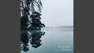 A Calm Early Morning