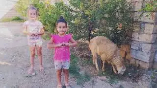 ❌QURBAN BAYRAMI 🐑 /GÜNLÜK VLOG / Hərkəsin Qurban bayrami mübarək olsun 🤲🥰