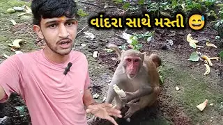 વાંદરા સાથે મસ્તી 😅 વાંદરાને કેળાં ખવડાવ્યાં ~ Vandara Sathe Masti || Gavmukh Songadh Gujarati Vlog