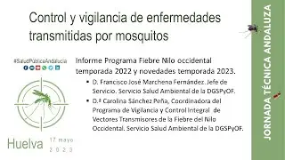 Mesa 4 - Jornada enf. mosquitos