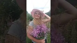 Август время прощаться с летом. #август #летонеуходи #скороосень #shorts #nature #природа #иванчай
