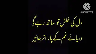 زندہ رہیں تو کیا ہے جو مر جائیں ہم تو کیا  (منیر نیازی )