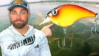 Flat Side CRANKBAITS Are Not Just For Coldwater
