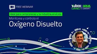 ¿Por qué el Oxígeno Disuelto es vital para el camarón y los peces?