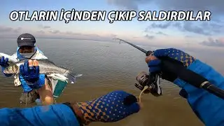 ÖLÜM NEDENİMİZ... SUÜSTÜ LEVREK AVI, SICAK, SİNEK, ÇAMUR, OT...