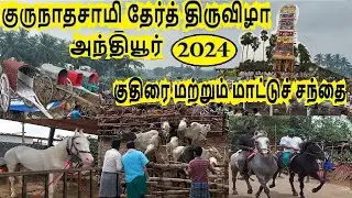Anthiyur Horse Market 2024 | அந்தியூர் குருநாதசாமி தேர் திருவிழா 2024 |