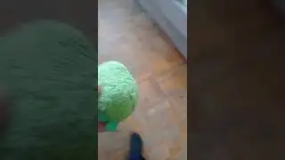 как я ударил младшего брата, и как он описал это родителям: 