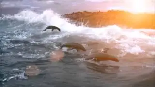 The Ocean : Amazing Scenery - Chillout [version 1]