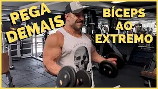DESENVOLVENDO O BÍCEPS COM ESSES 5 EXERCÍCIOS COM HALTERES (TODAS AS FIBRAS)