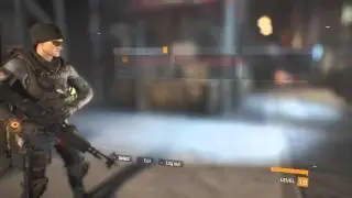 HOW TO PAINT YOUR WEAPON? How to get weapon skins? (The Division)