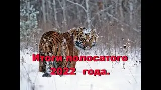 Итоги полосатого 2022 года.  Авторская программа Виктора Ильина от 29. 01. 2022г