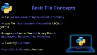 Section Introduction &  input & Basic File Concepts  & open and close & getcwd