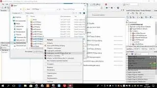 Install Delphi 10.2 Tokyo  Alpha skins Error