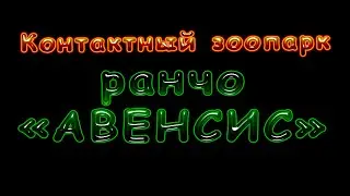 Ранчо 