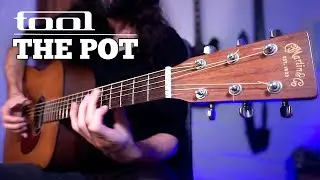 The Pot - TOOL | Solo Acoustic Cover