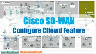 Cisco SD-WAN: Configure Cflowd Feature