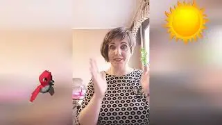 Музыкальное занятие для младшего дошкольного возраста (