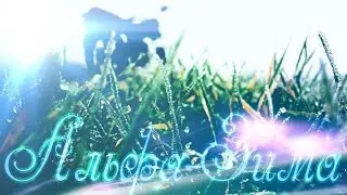#АльфаЗима