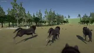 Wolf Runner - Unity Game