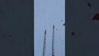 Наслаждаемся зимне-весенними денькаии 🥰