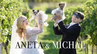 Aneta & Michal | Svatba Vinařství Obelisk
