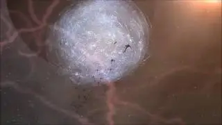TEST Alliance Please Ignore our Missiles