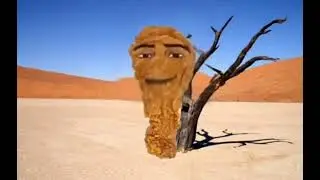 стоять ковбой🤠