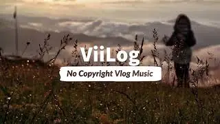 Niya - A Finale | ViiLog No Copyright Vlog Music