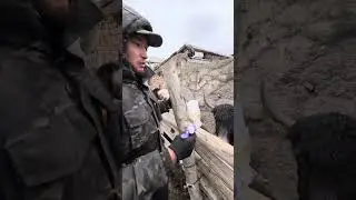 ПАСТЕРЕЛЛЕЗ ВАКЦИНАЦИЯ ДЛЯ ЯКОВ . ХОЗЯЙСТВО РЕЙНА КЕНЧ