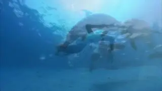 Наталья Любимова   Влюбленный дельфин