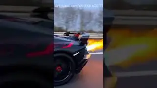 #Lamborghini