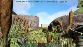 ARK War! (Server Reset)