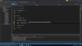 C++ Example 16 - Functions and reference-parameters