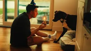 My Dog On His 4th Birthday