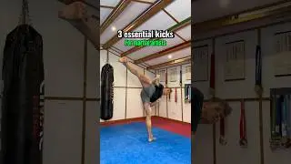 3 essential kicks to learn.