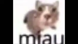 MIAU