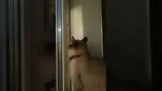 Прекрасное утро, выходного дня❤️