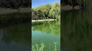 Чудесное место- женский монастырь #всецарица