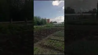 2 июля 2024 г.