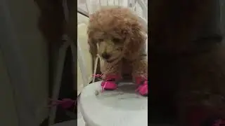 🤣🤣🤣🤣🤣