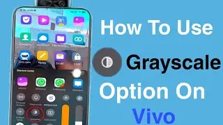 How To Use Grayscale Option On Vivo || Grayscale Option